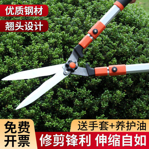 修剪树枝剪刀园艺修花专用茶叶果树剪枝工具园林绿化剪子绿篱剪刀 - 封面