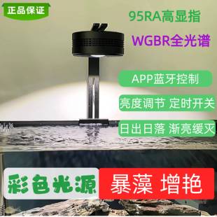 溪流缸暴藻灯吉罗鱼水草专用全光谱鱼缸灯灯筒调色灯2025新款