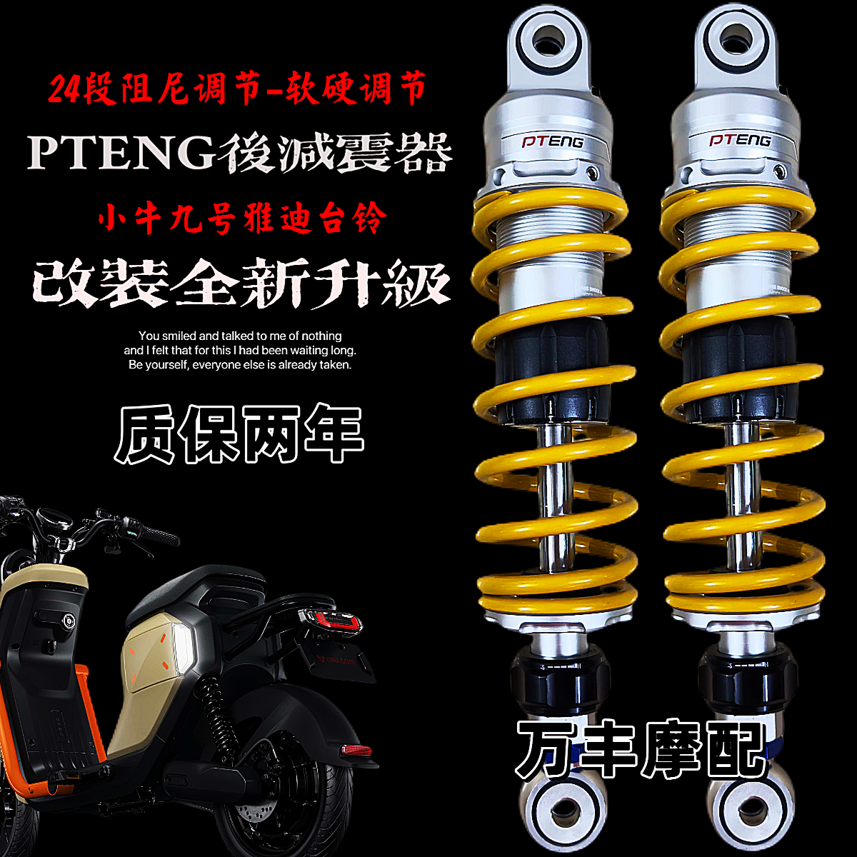 小牛U2九号M95C雅迪台铃深远改装