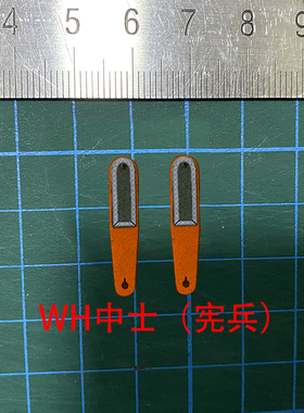 1/6兵人玩偶配件-WWII 德-SS/WH橙色兵种各阶布质肩章