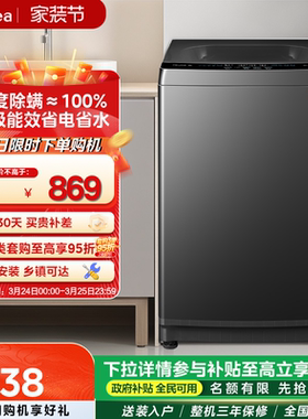 美的10kg一级能效家用租房除螨抗菌全自动波轮洗衣机洗脱一体V37T