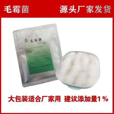 500g/袋腐乳曲粉 毛霉菌 发酵霉千张霉豆豉毛豆腐菌粉厂家供应