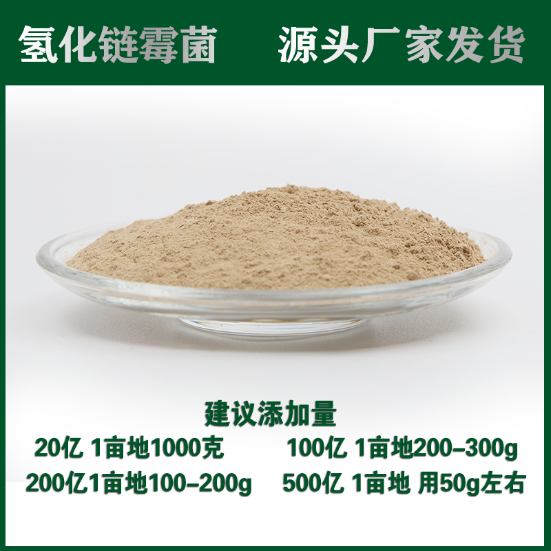 100亿氢化链霉菌微生物菌肥菌剂厂家直销袋100g包邮