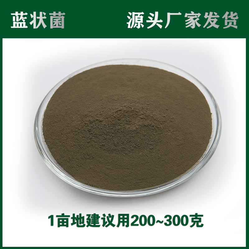 100亿蓝状菌促进植物根系生长微生物菌肥菌剂厂家直销袋100g包邮,农用物资,生物菌肥,淘宝优惠券,粉丝福利购,淘宝优惠卷