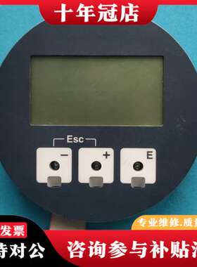 议价E+H显示模块71007441可维修