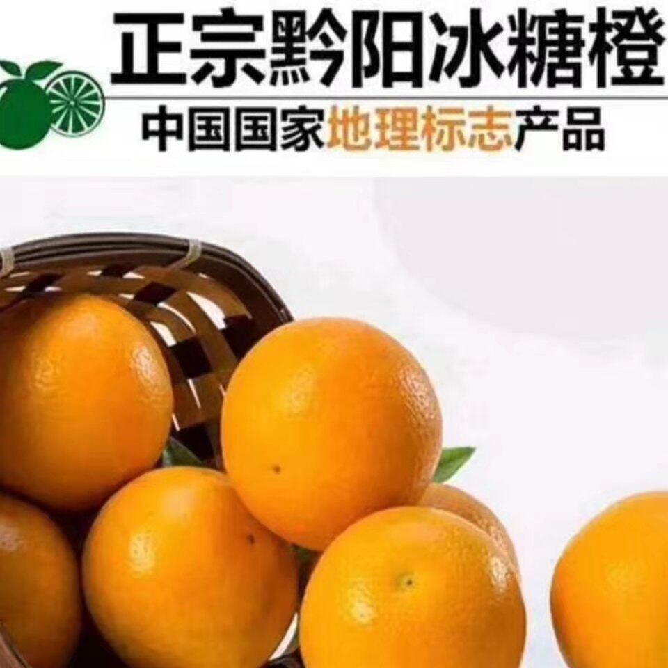 洪江黔阳冰糖橙新鲜超甜冰糖柑非怀化麻阳永兴冰糖橙5/10斤礼盒装