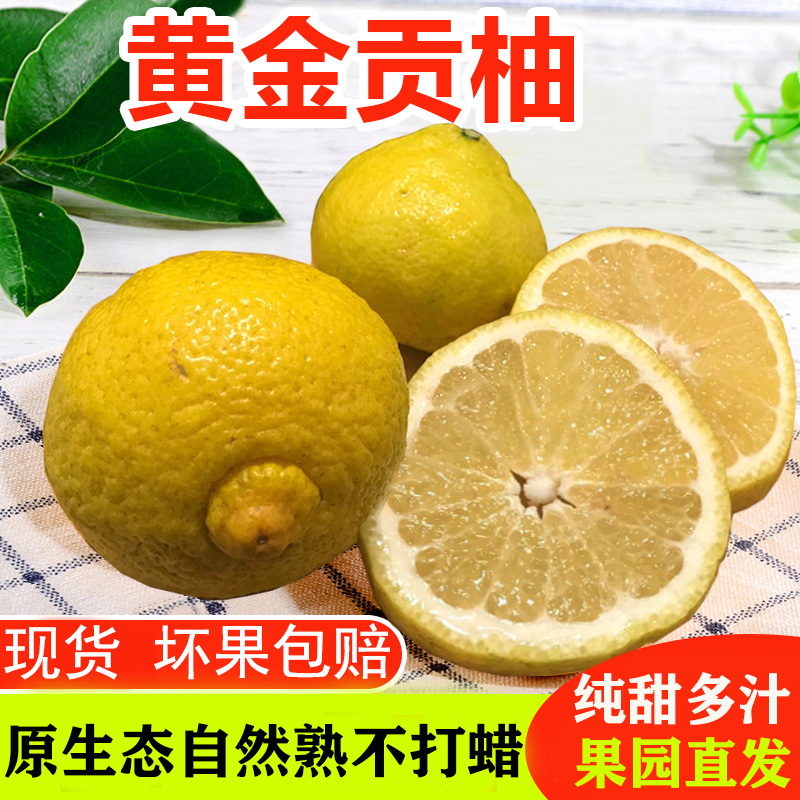 黄金贡柚春香桔柚象山青怀化洪江黔阳雪峰山珑玲柚子安江礼盒10斤