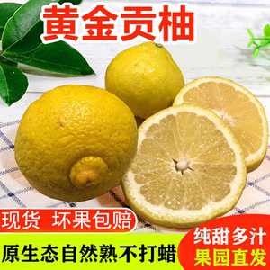 黄金贡柚春香桔柚象山青怀化洪江黔阳雪峰山珑玲柚子安江礼盒10斤