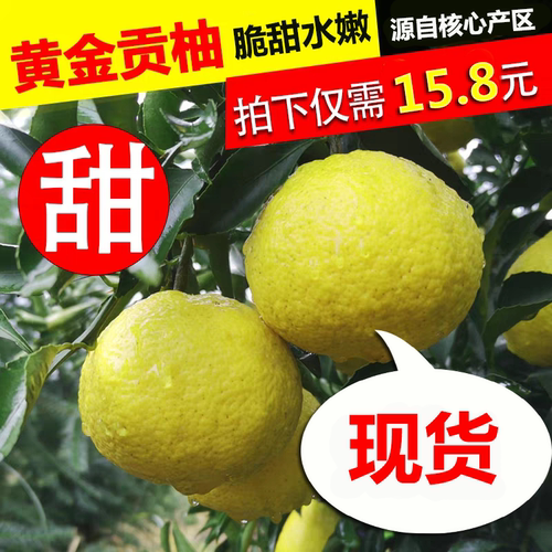 湖南怀化黄金贡柚春香柚新鲜纯甜