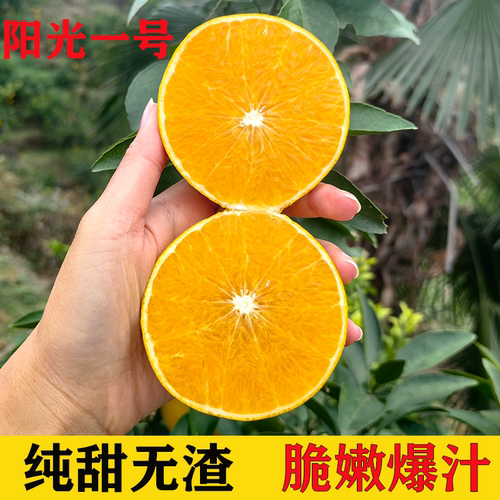 湖南怀化阳光一号桔柚高山橘柚子新鲜皮薄爆汁脆嫩甜心手剥柚礼盒