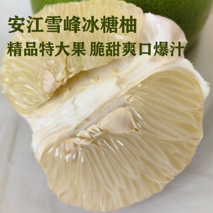 湖南怀化安江雪峰山冰糖柚老树小苦柚麻麻柚安福水晶爆汁药柚10斤