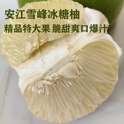湖南怀化安江雪峰山冰糖柚老树小苦柚麻麻柚安福水晶爆汁药柚10斤