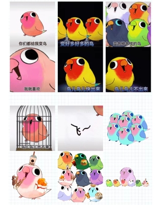 摇头鹦鹉表情包微信动态表情包gif动态表情包40个