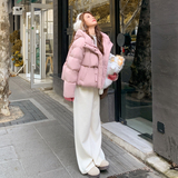 出货中！2026冬季新款连帽90绒羽绒服外套ZB123-7776-P315-K468，女装羽绒服，浙宝123