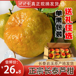 福建漳州长泰芦柑蜜桔橘碰柑孕妇新鲜大水果现摘现发送礼包邮9斤