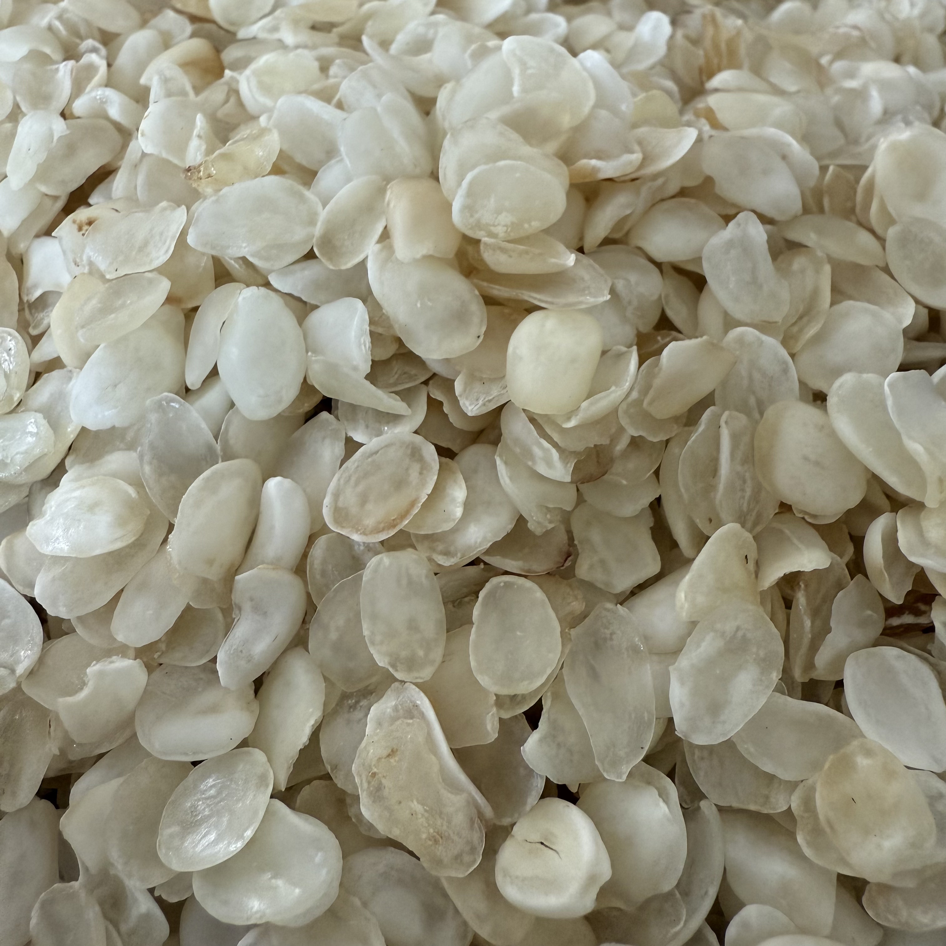 云南梁河单荚皂角米250克包邮德宏特产老品种无硫无添加