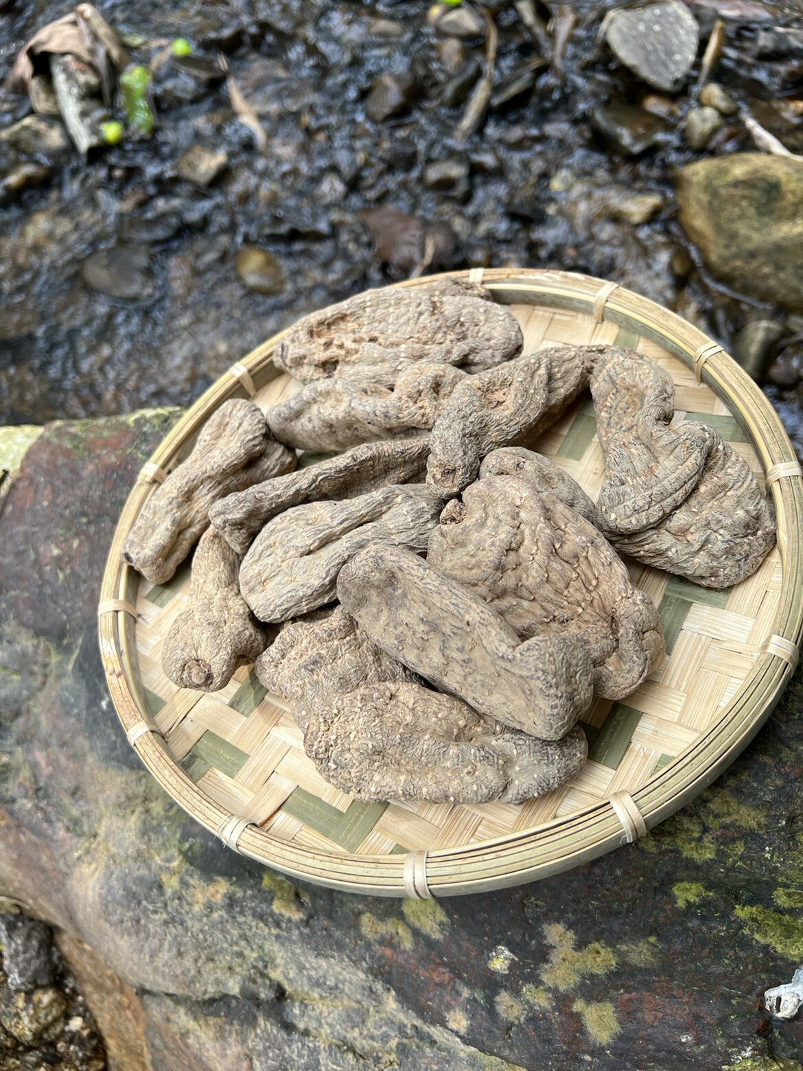 云南乌天麻500克包邮特级正品纯正天然德宏特产非种植昭通麻