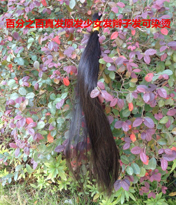 Extension mèches - Ref 217484 Image 3