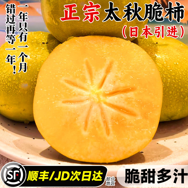 正宗太秋柿子甜柿日本引进当季新鲜水果脆甜硬柿无核整箱中秋礼盒