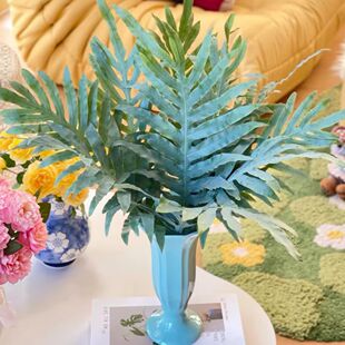 【顺丰空运】荷兰进口贯众蕨网红叶云南昆明基地直发