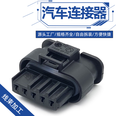 872-860-541重汽氮氧化物NOx传感器插头 配端子DJ7056-1.2-11/21