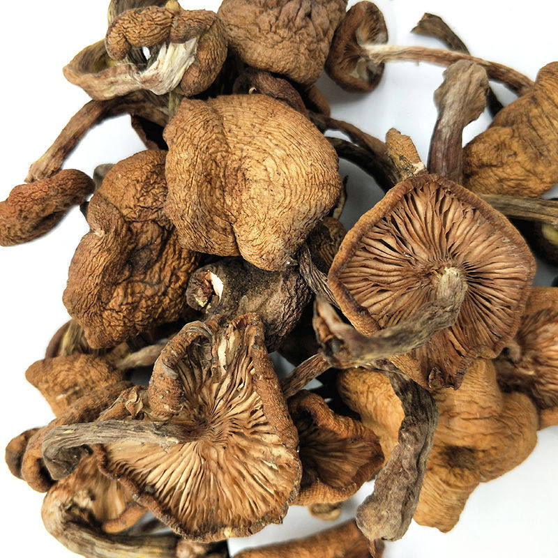 野生榛蘑片500克干货东北优质美味食用菌小鸡炖蘑菇香菇菌类促销