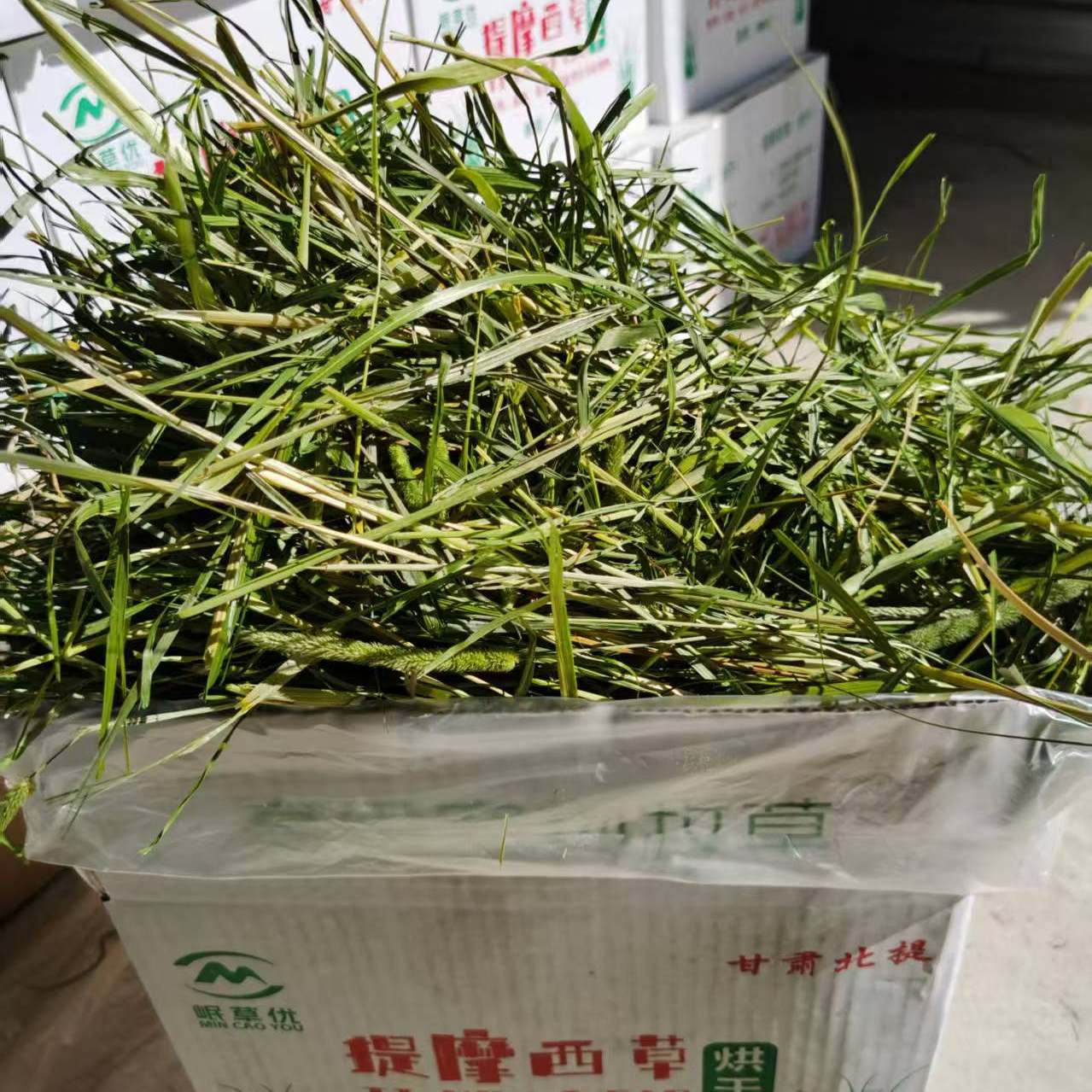 6【多叶特价】25年头茬烘干提摩西草箱装兔兔干草岷县草场发货