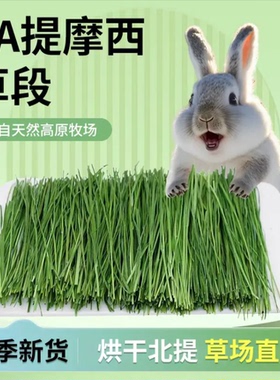 【直播专享】25年头茬5A烘干提摩西草精品北提干草兔草荷兰猪主粮