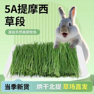 【直播专享】25年头茬5A烘干提摩西草精品北提干草兔草荷兰猪主粮