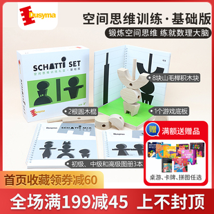 德国Dusyma三维立体投影三视图空间思维训练儿童玩具益智拼装积木