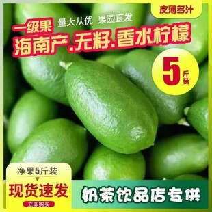 海南香水柠檬新鲜应当季水果奶茶店专用无籽青柠檬皮薄多汁包邮