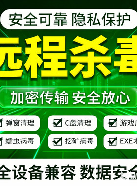 电脑中毒异常处理专业远程电脑杀毒病毒免重装系统计算机防黑客