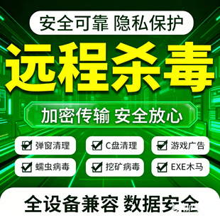 电脑中毒异常处理专业远程电脑杀毒病毒免重装系统计算机防黑客