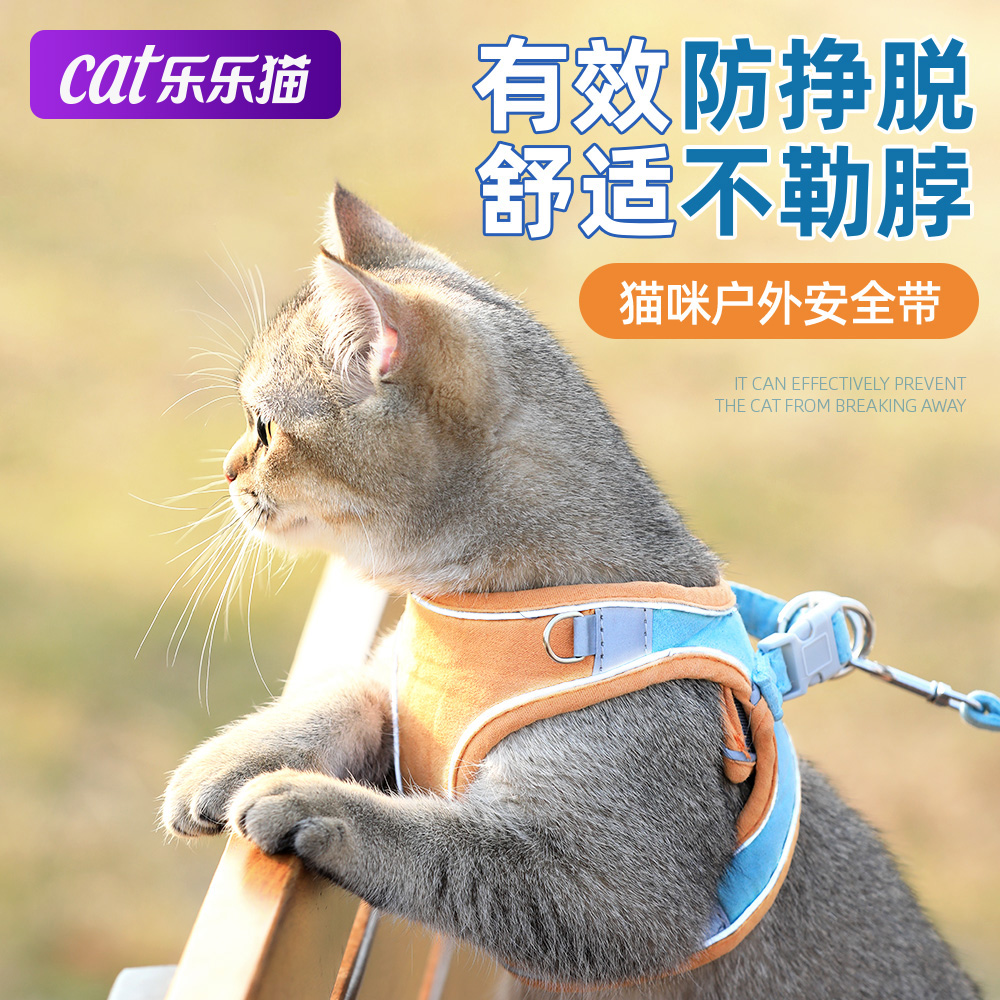 外出宠物用品背心式防挣脱遛猫绳