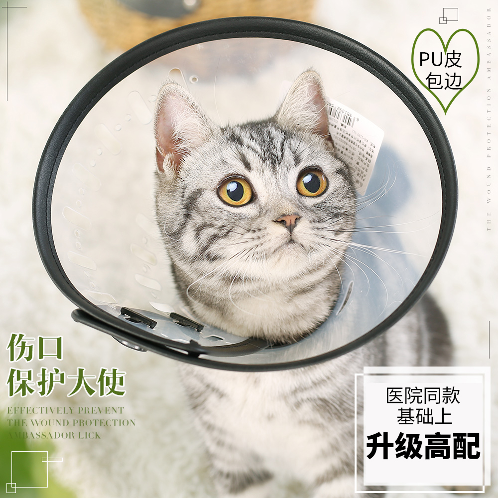 宠物狗狗猫咪伊丽莎白圈