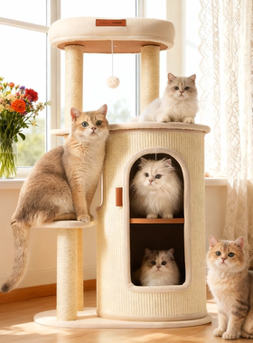hoopet猫爬架家用小户型不占地多层猫窝剑麻猫架双层小型猫树猫桶