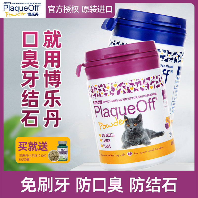 洁牙粉口腔清洁去除口臭