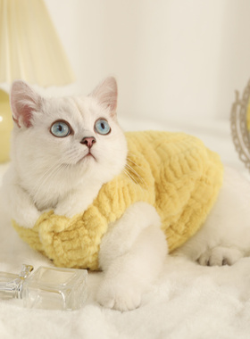 猫咪衣服冬季保暖宠物小猫布偶英短银渐层猫猫马甲幼猫冬天秋冬装