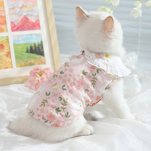 猫咪衣服防掉毛薄款 英短小猫宠物猫猫幼猫夏季 背心 夏天布偶猫服装
