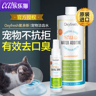 宠物漱口水Oxyfresh狗狗除牙结石猫口腔清洁口炎洁齿水去猫咪口臭