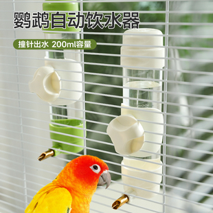 鸟用饮水器鹦鹉撞针水壶悬挂鸟笼喂水器防漏水虎皮玄凤自动喝水器