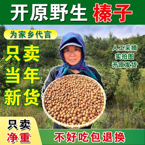 东北特产榛子无添加不好吃包退