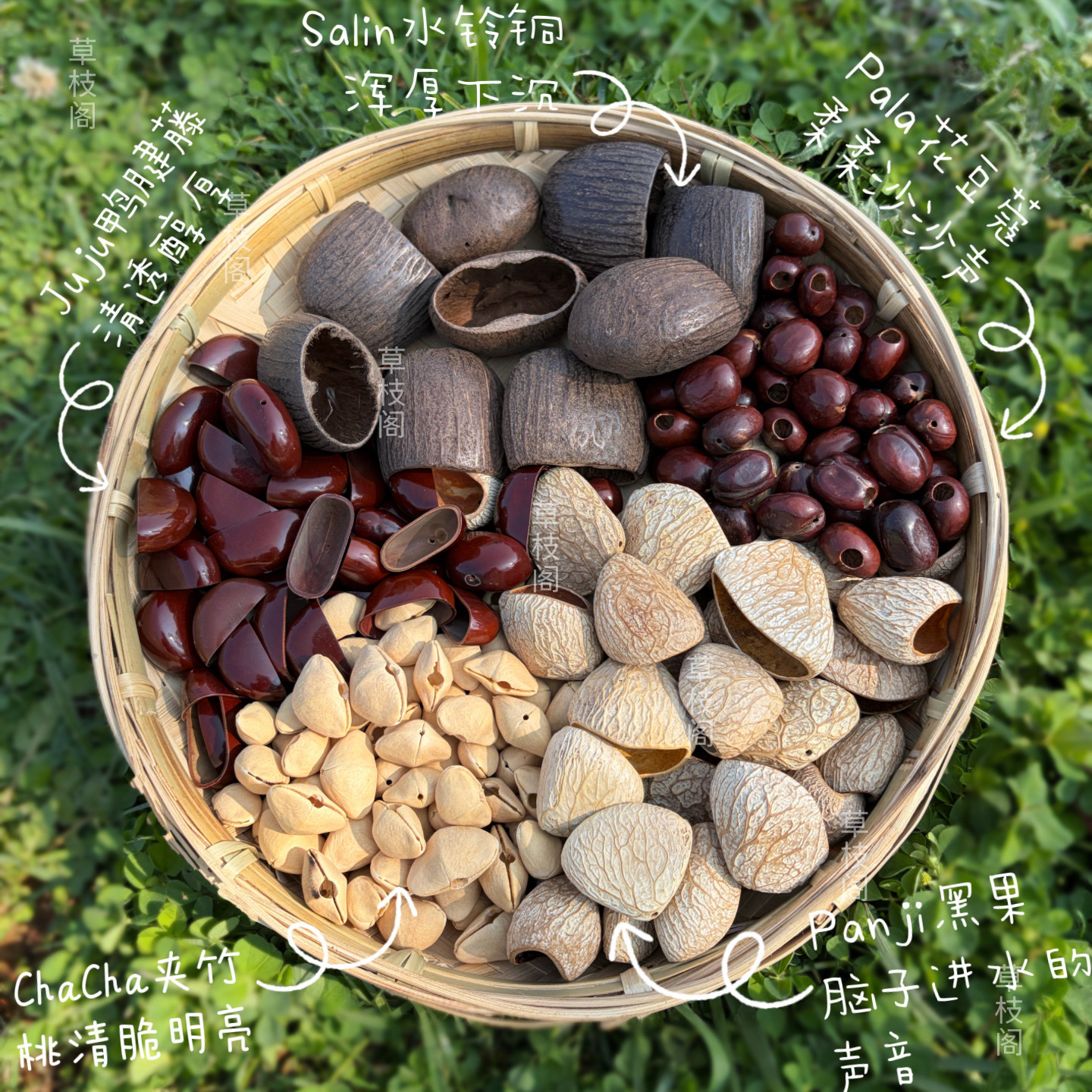 植物果壳材料diy手工配件panji黑果风铃印尼进口小众冥想音疗