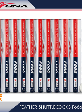 日本kizuna专业稳定耐打王羽毛球F666鹅毛不易打烂训练比赛球一桶