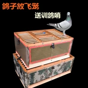 Disheng xinxing chim bồ câu chim bồ câu bay lồng huấn luyện lồng gấp đua chim bồ câu lồng chim bồ câu cạnh tranh lồng đào tạo lồng chim bồ câu - Chim & Chăm sóc chim Supplies