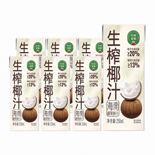 叮咚定制 海南椰果榨汁 生榨椰汁 250ml*6盒