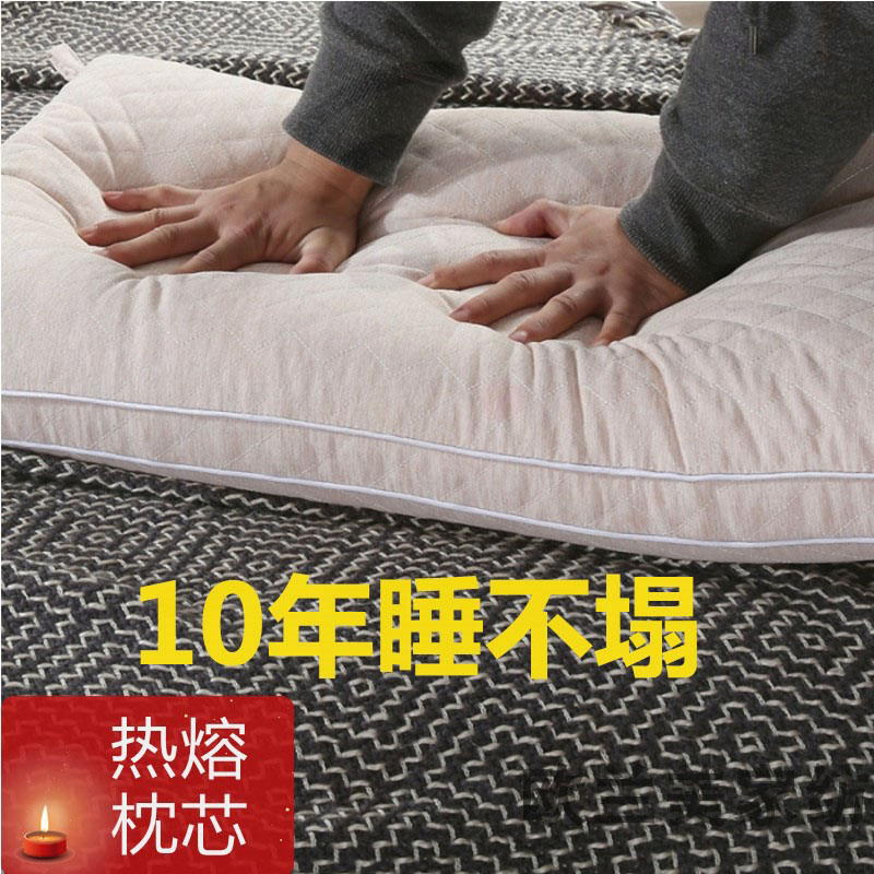 可机洗热熔枕头偏硬不变形枕芯防螨家用大人护颈椎纯棉定型一对装