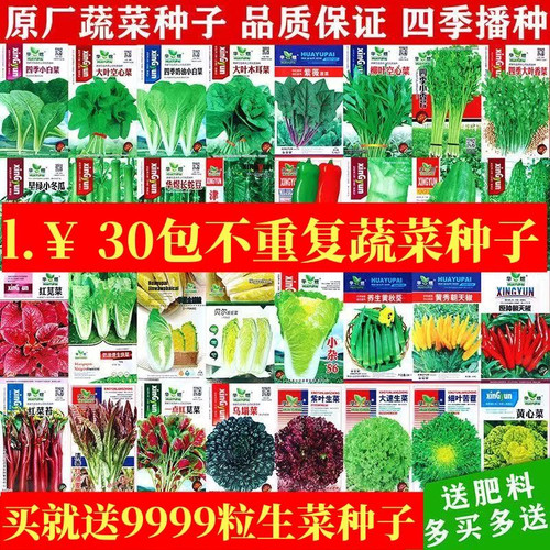 20包蔬菜种子套餐四季易种菜种子阳台盆栽庭院夏秋冬季各种菜种子