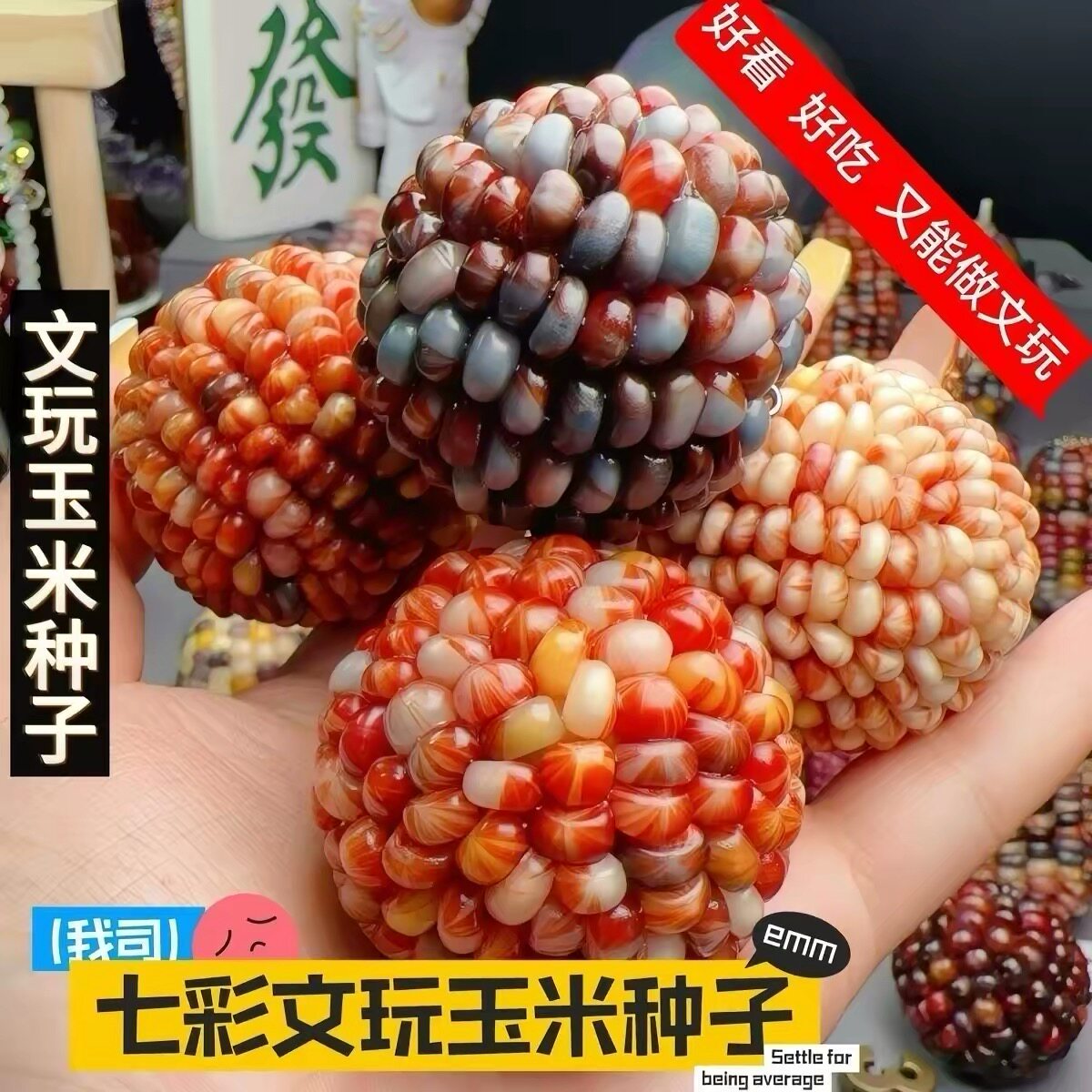 小玉米粒七彩五彩玉米种子椭圆文玩宝石血丝玉米罕见稀有种子春夏图片