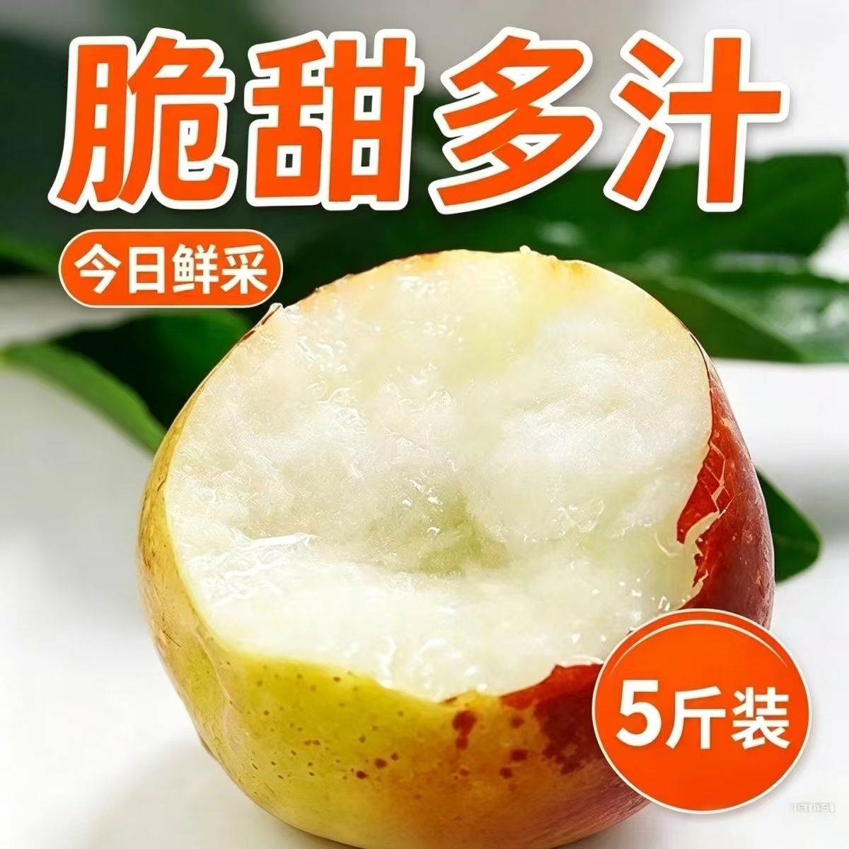 果园直发新鲜冬枣水果冰糖脆甜特大5斤孕妇水果当季枣子鲜枣包邮